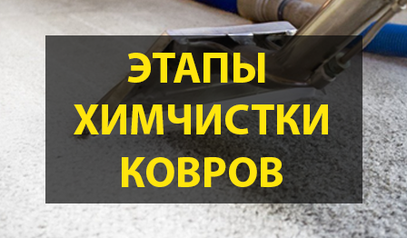 этапы химчистки ковров