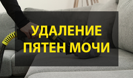 Химчистка матраса от мочи кота